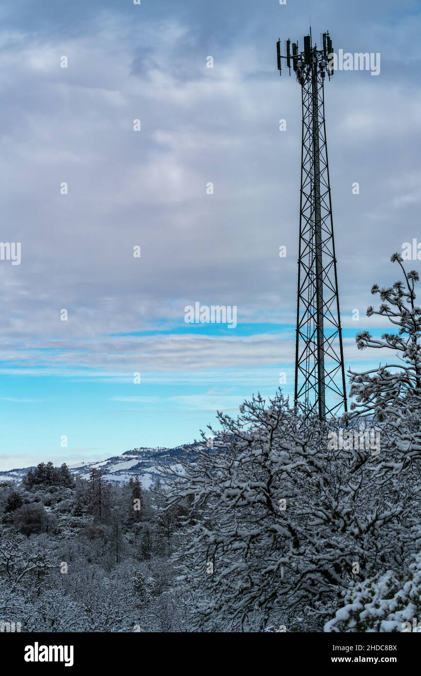 Cell Tower am Snowy Day. Oregon, Ashland, Cascade Siskiyou National Monument, Winter Stockfoto