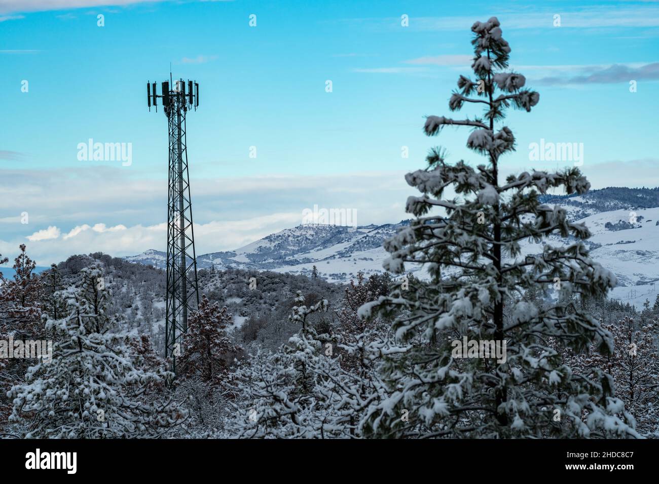 Cell Tower am Snowy Day. Oregon, Ashland, Cascade Siskiyou National Monument, Winter Stockfoto