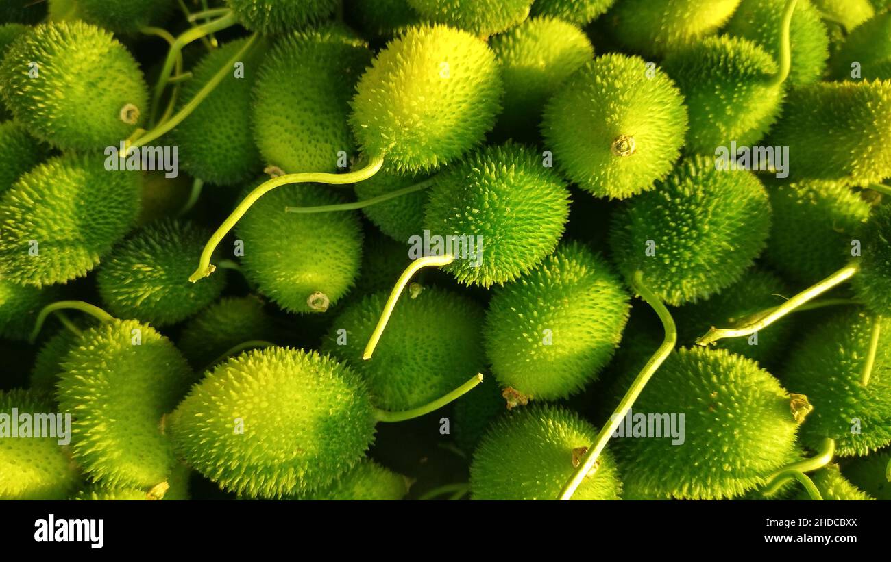 Frisches, stachelig-feinschmeckendes Gemüse auf dem Straßenmarkt Stockfoto