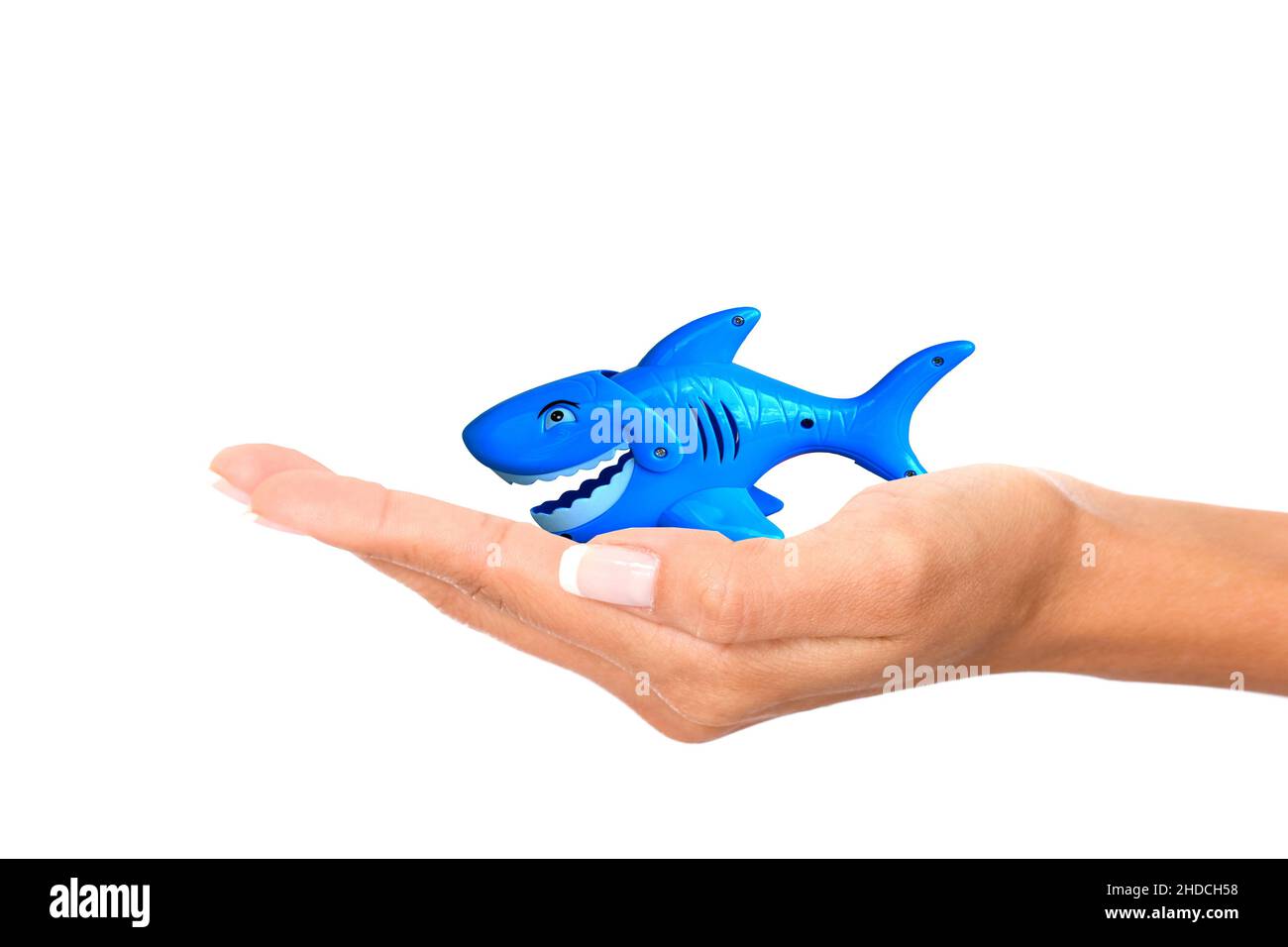 Hand mit Hai, Miethai, Kredithai, Immobilienhai, Freisteller, weisser Hintergrund, Stockfoto