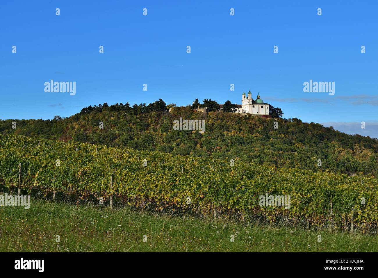 Leopoldsberg bei Wien, Österreich und Weingärten an einem sonnigen Herbsttag Stockfoto