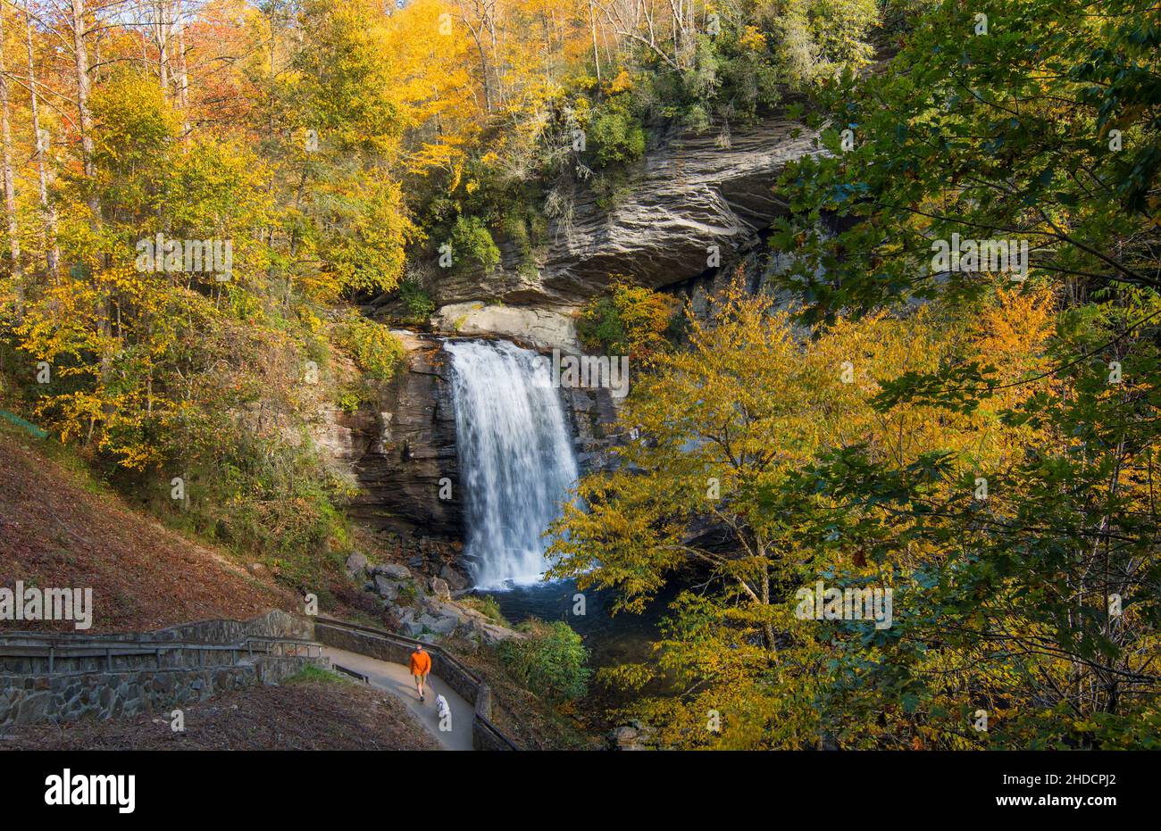 Brevard North Carolina Looking Glass Wasserfall in der Nähe von
