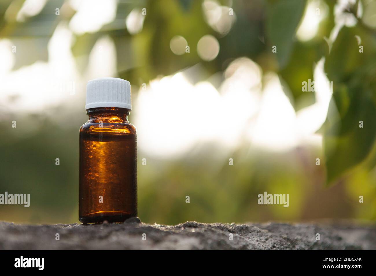 Kleine medizinische Flasche vor dem Hintergrund von grünen Blättern und Lichtstrahlen. Natürliche Medizin, Konzept. Stockfoto