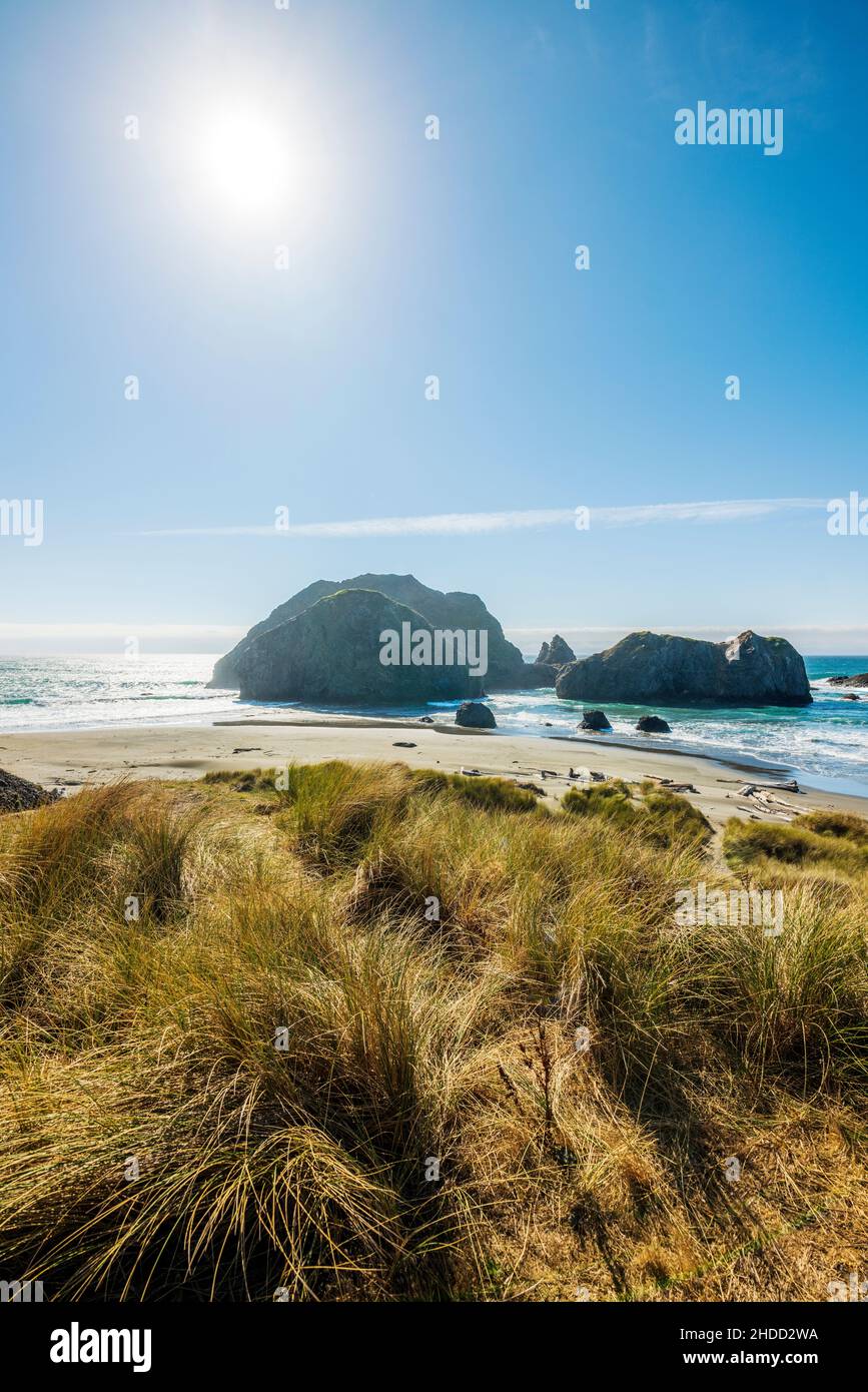 Pazifik; Meyers Creek Beach; Oregon Coast; USA Stockfoto
