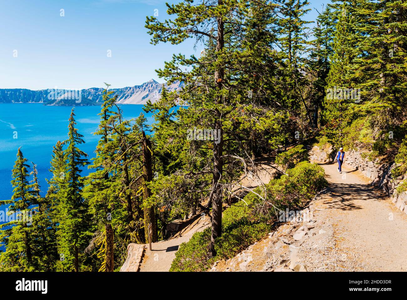 Wanderweg für Frauen; Crater Lake National Park; Cascade Mountains; östlicher Oregon; USA Stockfoto