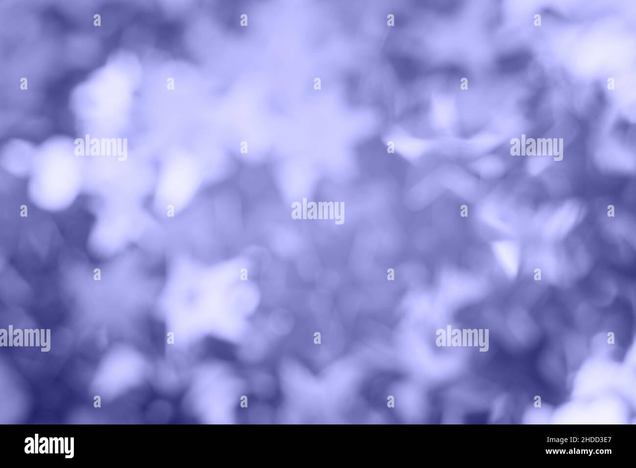 Abstrakt verschwommener violetter Glitzer-Hintergrund. Heller und farbenfroher Hintergrund. Stockfoto