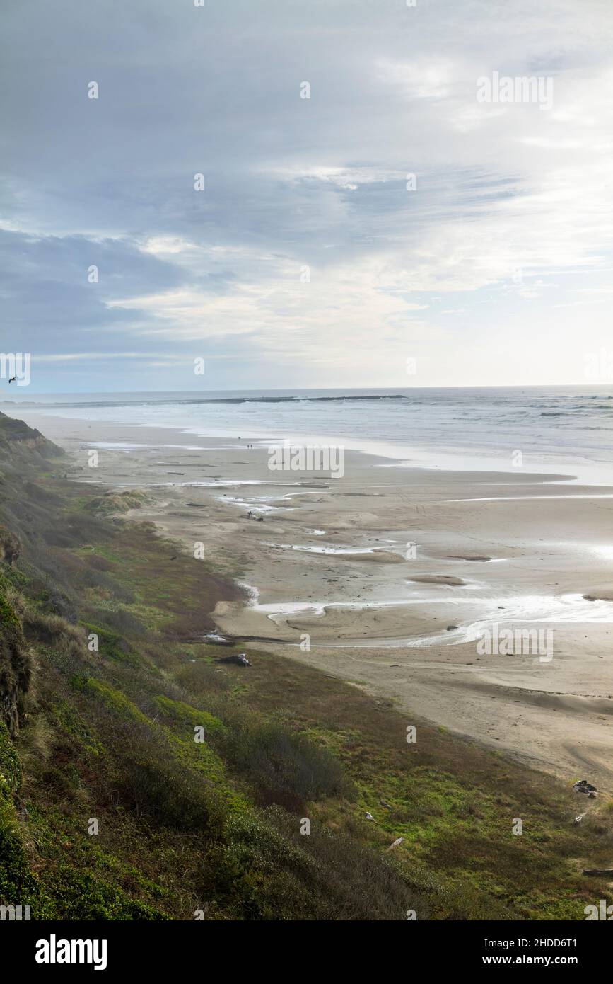 Nebliger Blick auf den Strand und den Pazifischen Ozean; Newport; Oregon; USA Stockfoto