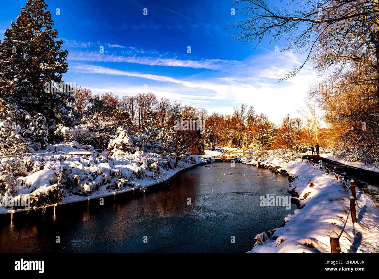 Ein Parklandenteich in einer winterlichen Umgebung Stockfoto