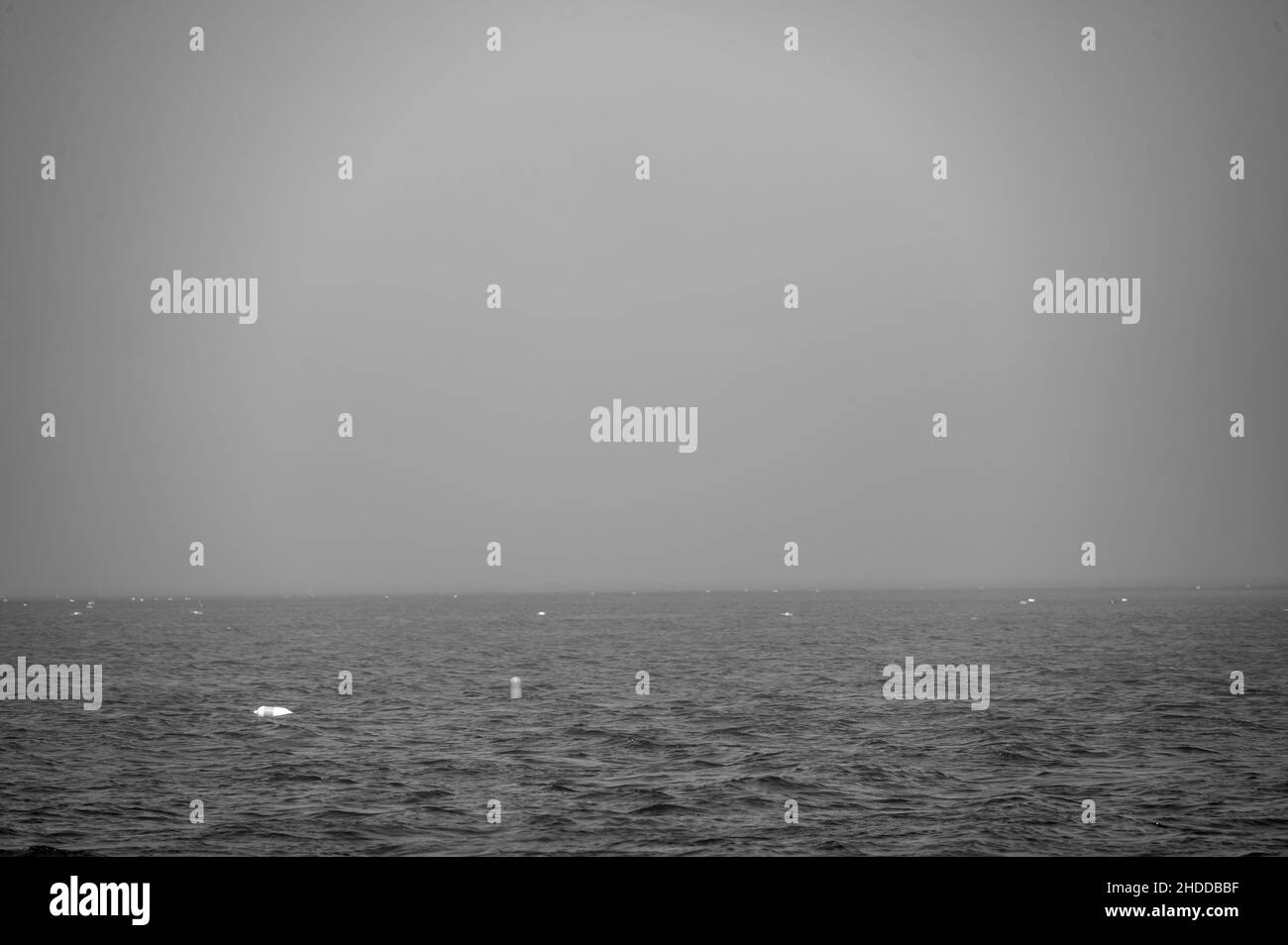 Hummerfalle-Boje schwimmt auf einem abgehackten Ozean im Atlantischen Ozean Stockfoto