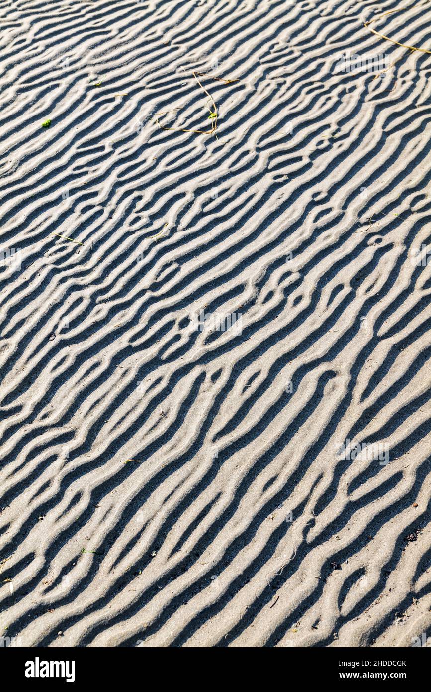 Nahaufnahme von windgeformten Mustern im Sand; Fort Stevens State Park; Pazifik; Küste von Oregon; USA Stockfoto