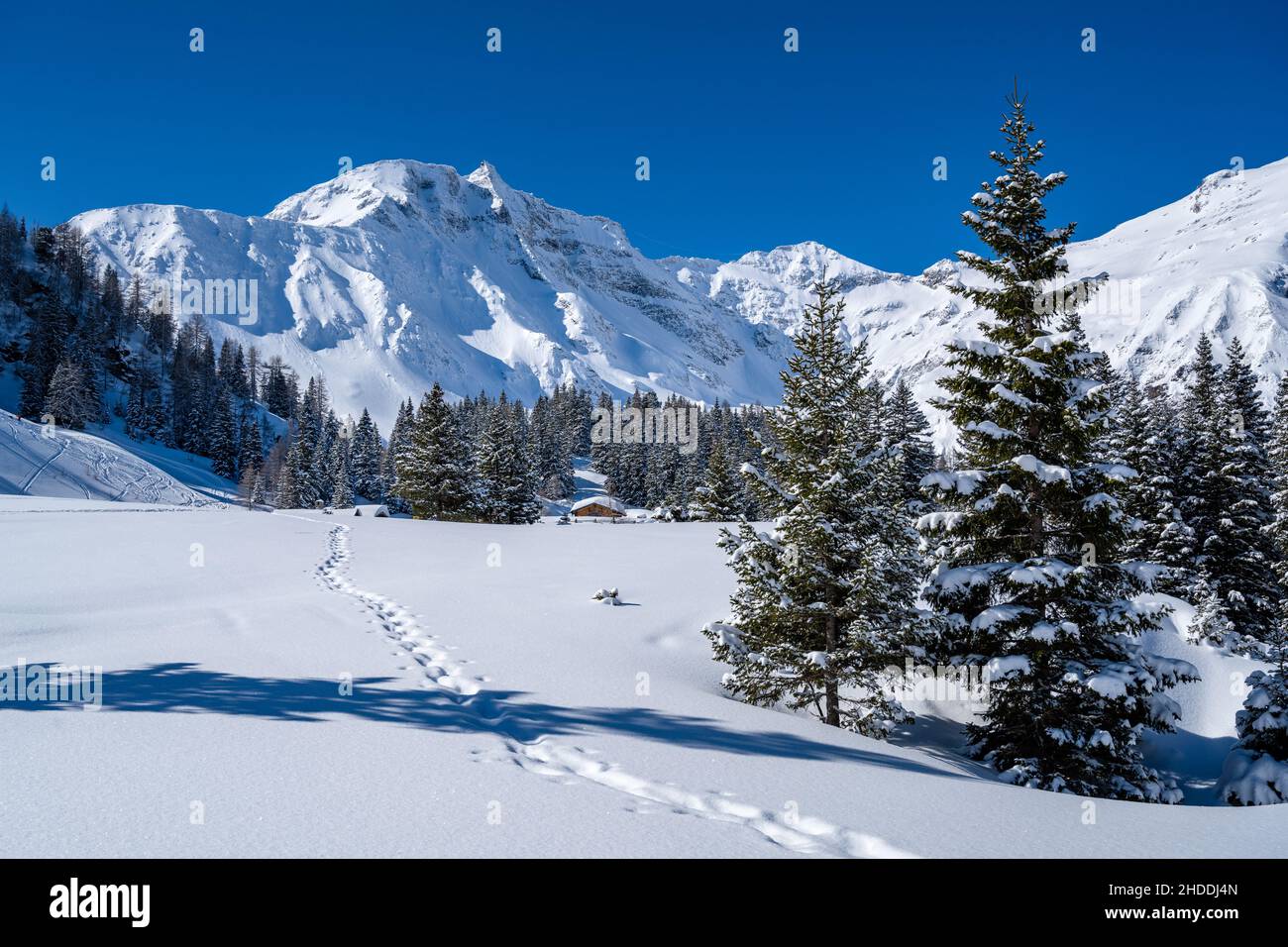 Spuren von Schneeschuhwanderern in schneebedeckter Alpenlandschaft, Rauris, Salzburger Land, Österreich Stockfoto