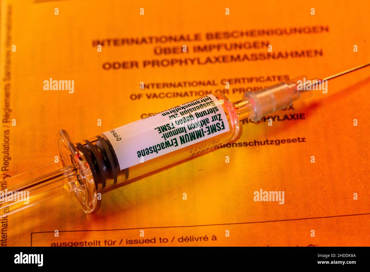 Eine internationale Impfkarte mit einer Spritze gegen Frühsommer-encephalitis Stockfoto