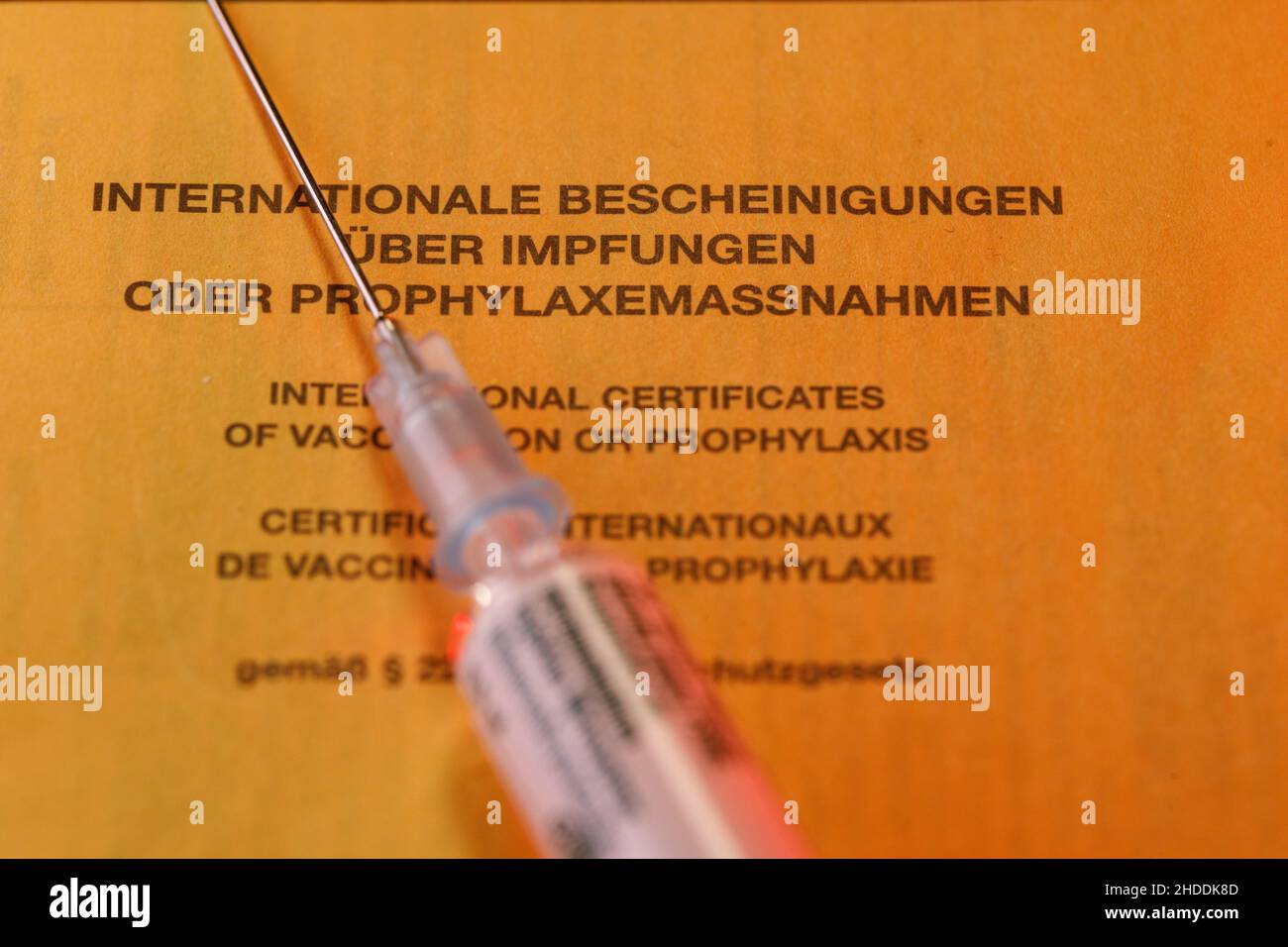 Eine internationale Impfkarte mit Injektionsspritze Stockfoto