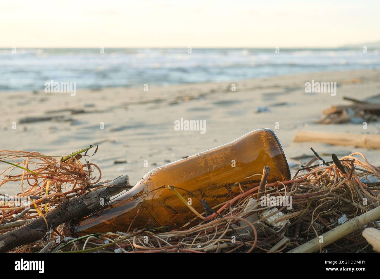 Leere Glasbierflasche auf schmutzigem Meeresökosystem, Umweltabfallverschmutzung verworfen Stockfoto