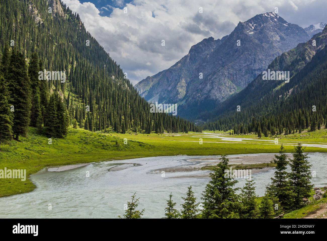 Karakol Flusstal in Kirgisistan Stockfoto