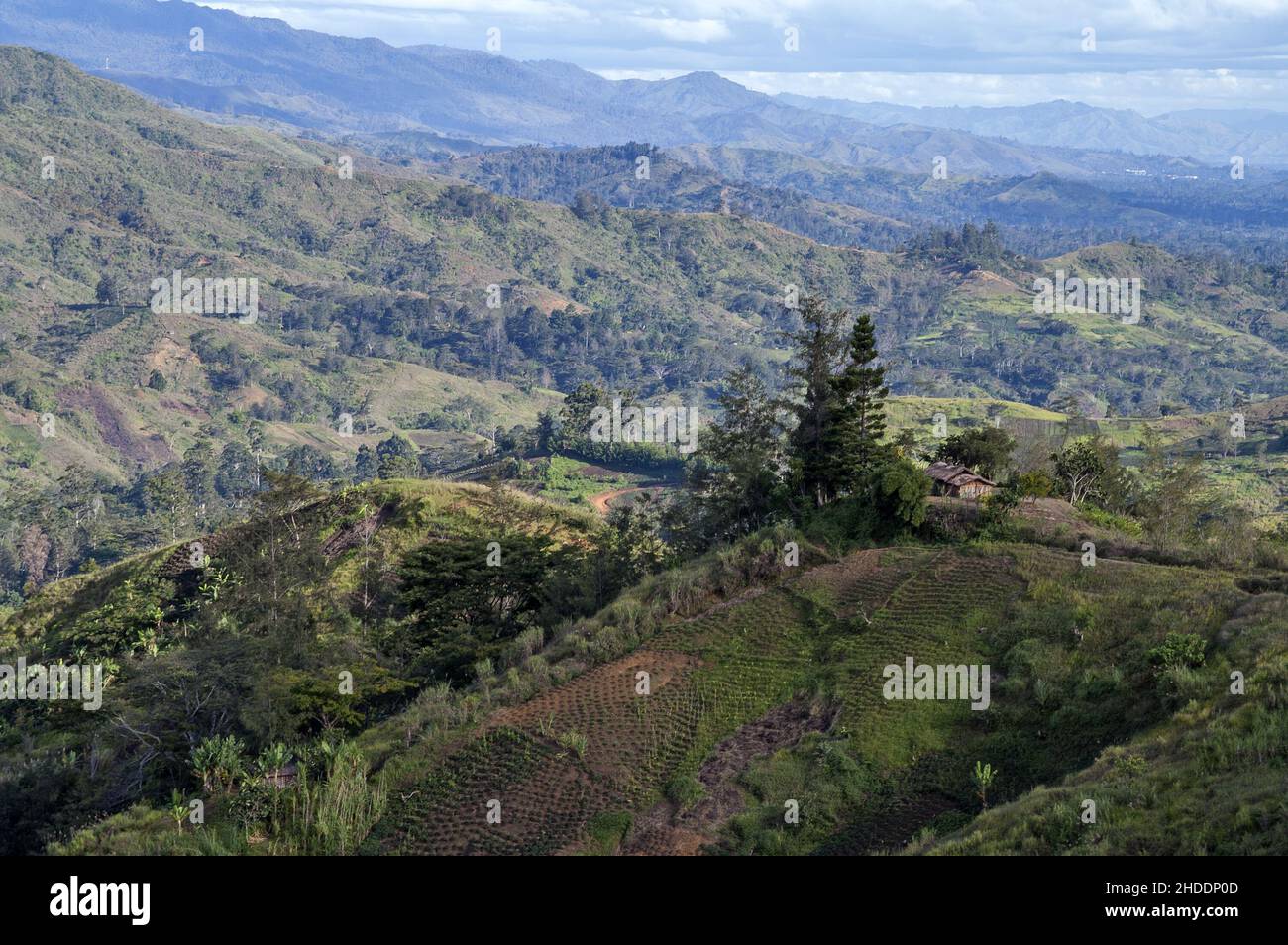 Papua-Neuguinea; Östliches Hochland; Goroka; Namta (Mefenga); Typische Berglandschaft in Zentral-Papua; Typische Berglandschaft in Zentral-Papua Stockfoto