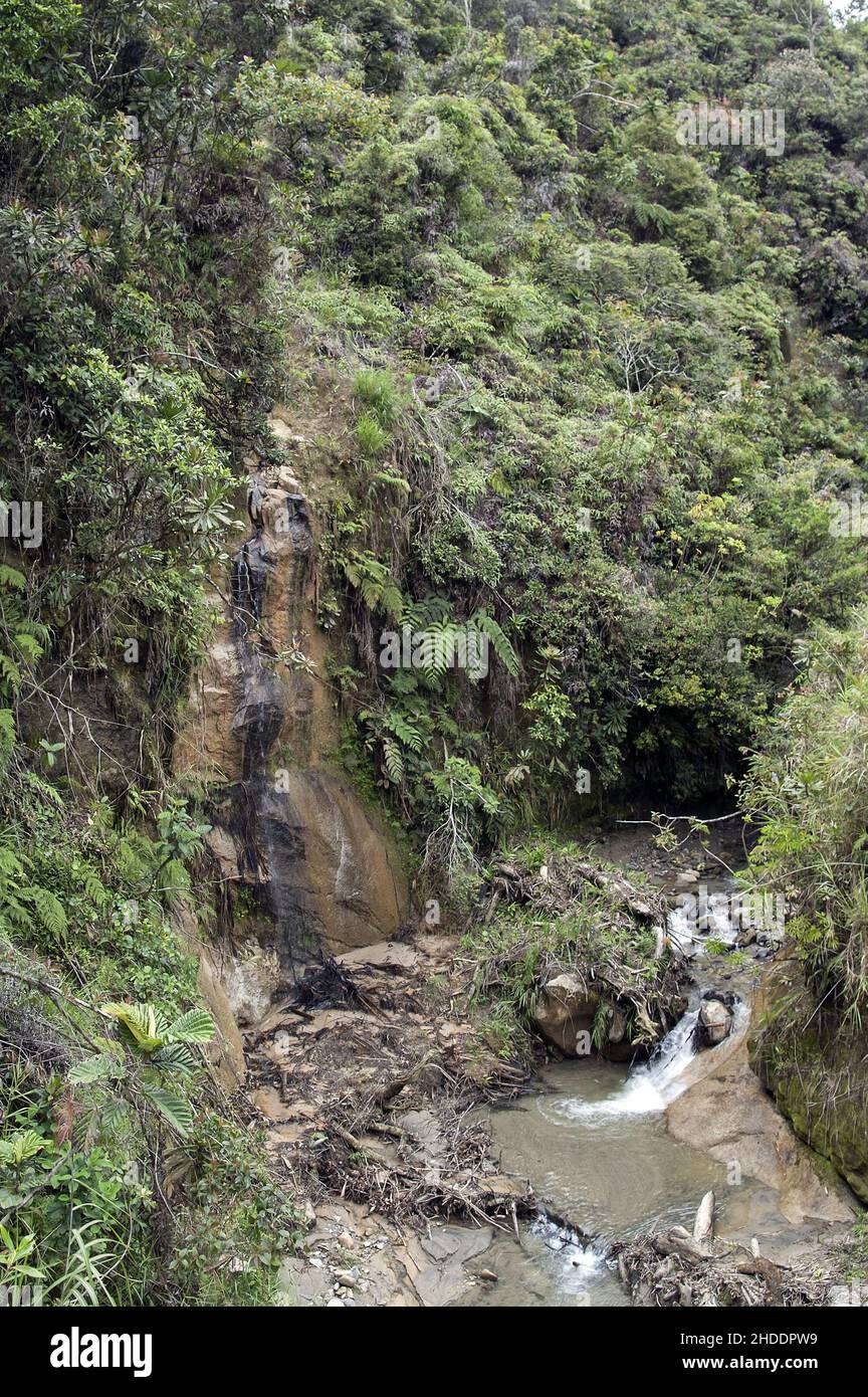 Papua-Neuguinea; Östliches Hochland; Goroka; Namta (Mefenga); Ein kleiner wilder Fluss in den Bergen. Ein kleiner wilder Fluss in den Bergen. 山中的一條小野河。 Stockfoto