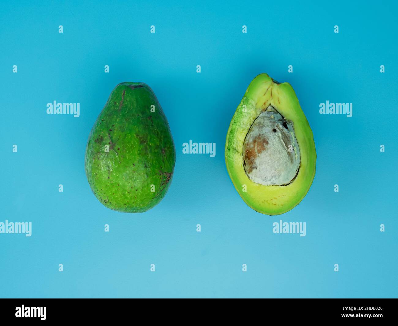 Draufsicht auf Avocado auf blauem Hintergrund. Gesundes Fruchtkonzept. Stockfoto