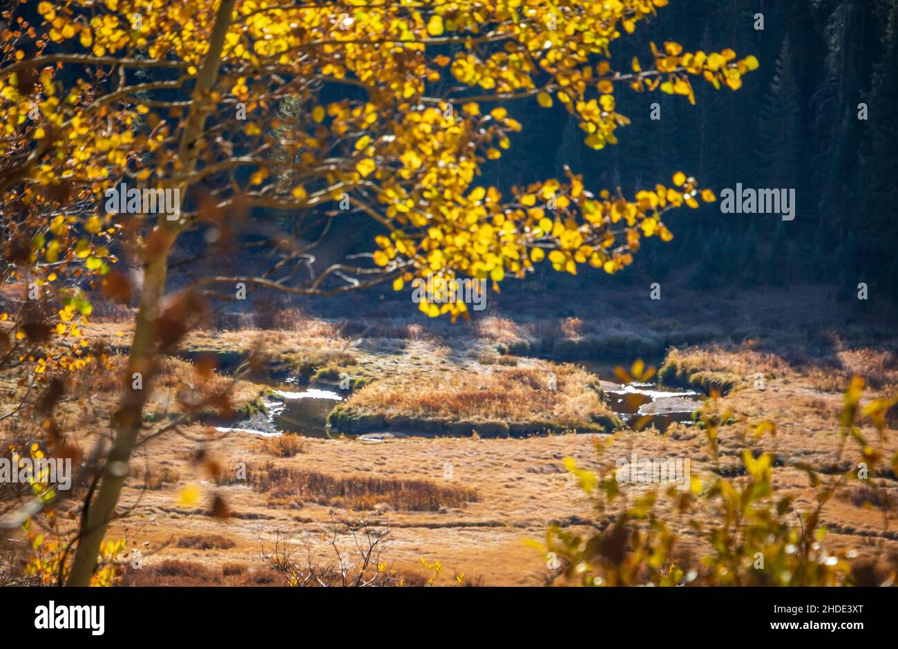 Malerischer Blick auf die Wiese mit gewundener Flusslandschaft in den Rocky Mountains von Colorado an einem sonnigen und warmen Herbsttag mit wechselnden Espenblättern, USA Stockfoto