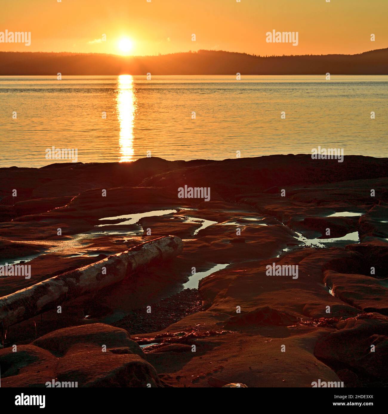 Morgens Sonnenaufgang am felsigen Ufer von Vancouver Island in British Columbia, Kanada Stockfoto