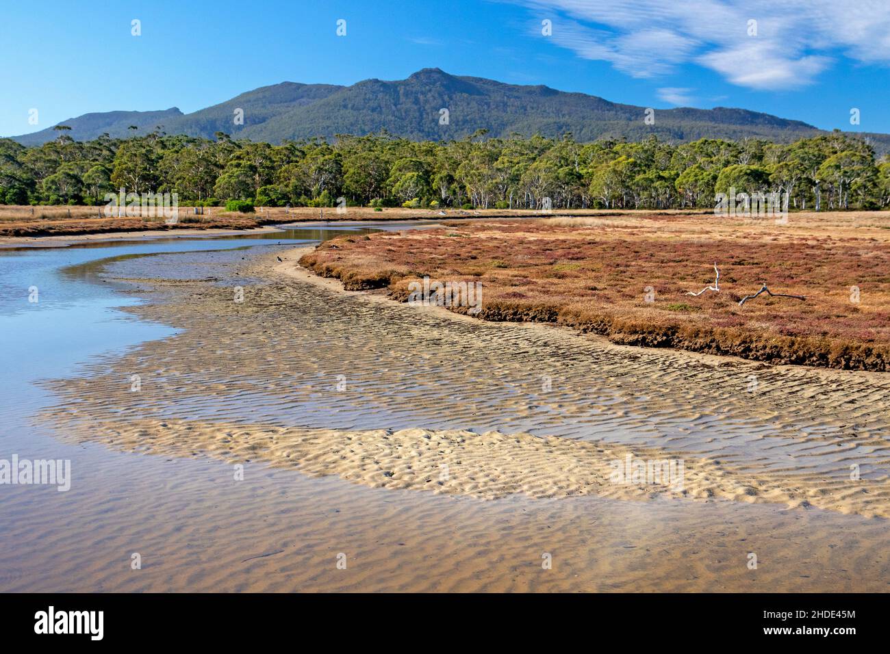 Creek und Mt Maria von der Chinamans Bay Stockfoto