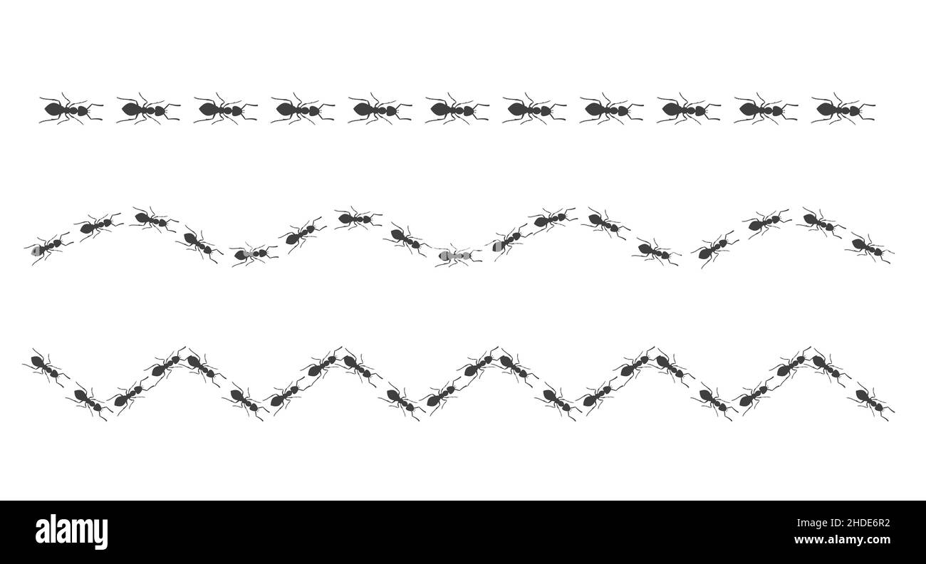 Eine Spur von Ameisen. Insekten marschieren entlang der Linie. Vektor Stock Vektor