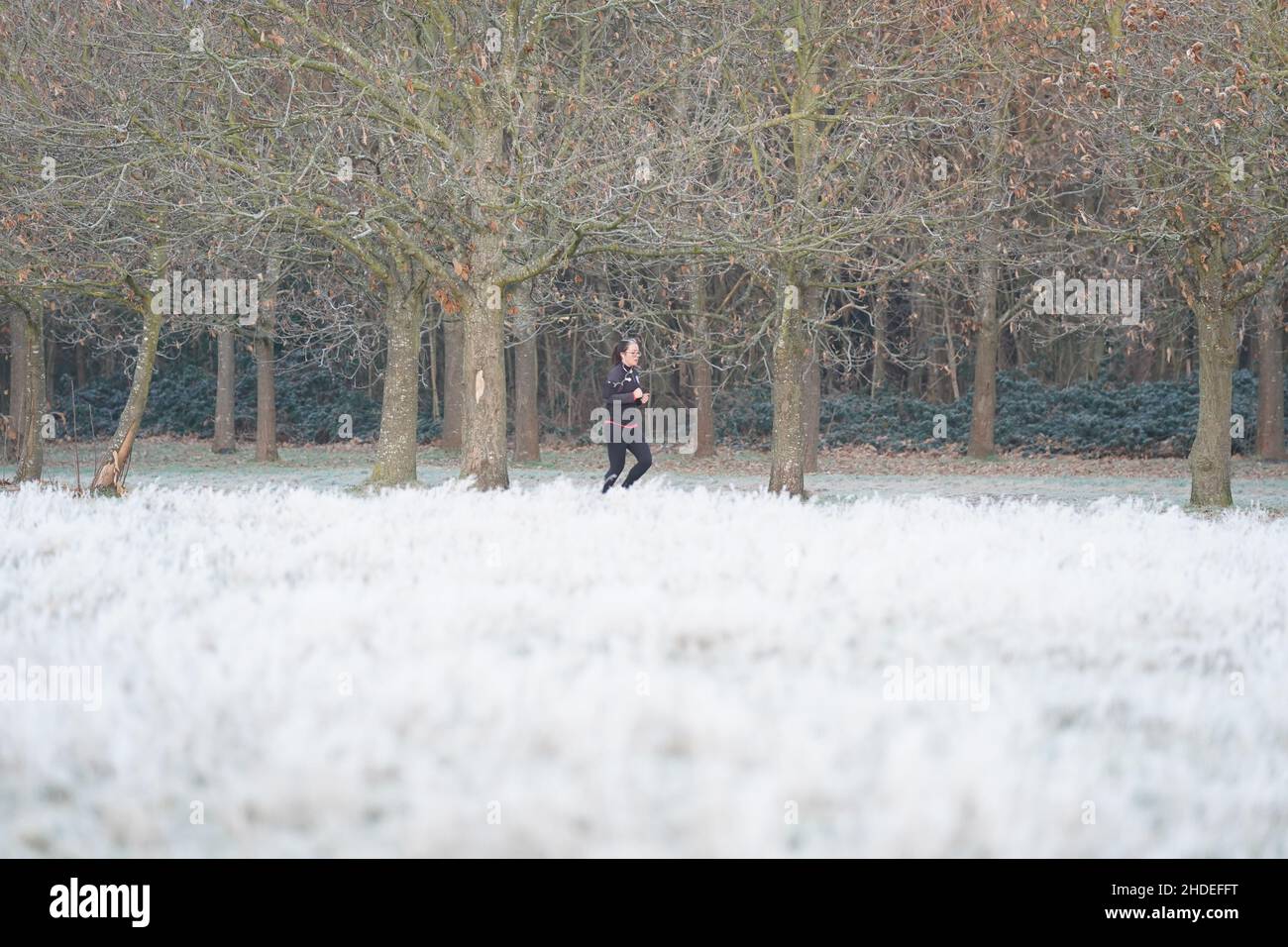 Nach einer Nacht mit niedrigen Temperaturen in der Hauptstadt läuft ein Jogger durch frostbedecktes Gras im Wanstead Park im Nordosten Londons. Wetterprognosen prognostizieren später am Morgen über den Norden Englands neue Schneefälle. Bilddatum: Donnerstag, 6. Januar 2022. Stockfoto