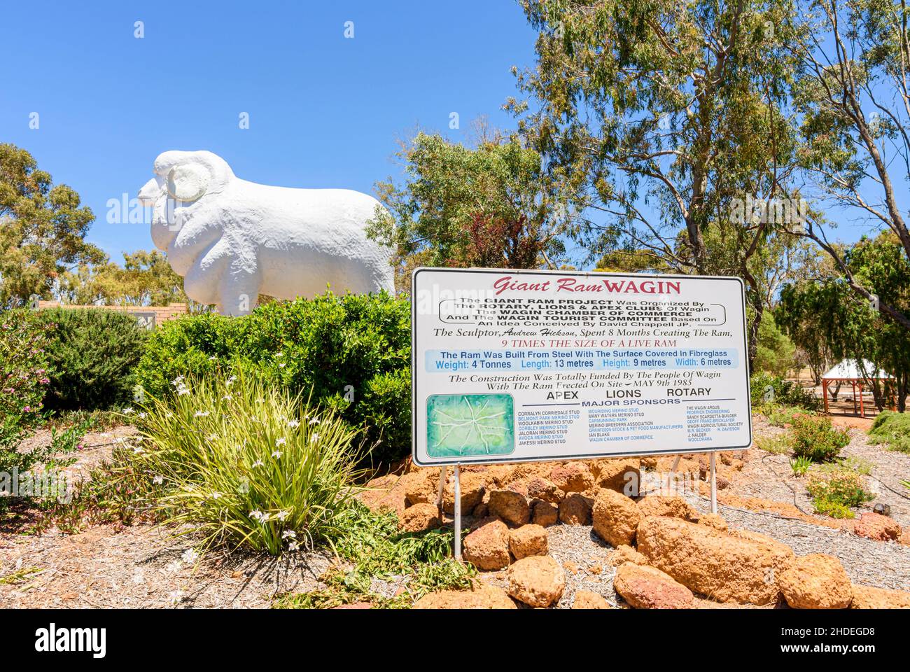 The Big RAM im Giant RAM Tourist Park in der ländlichen Stadt Wagin, Western Australia, Australien Stockfoto