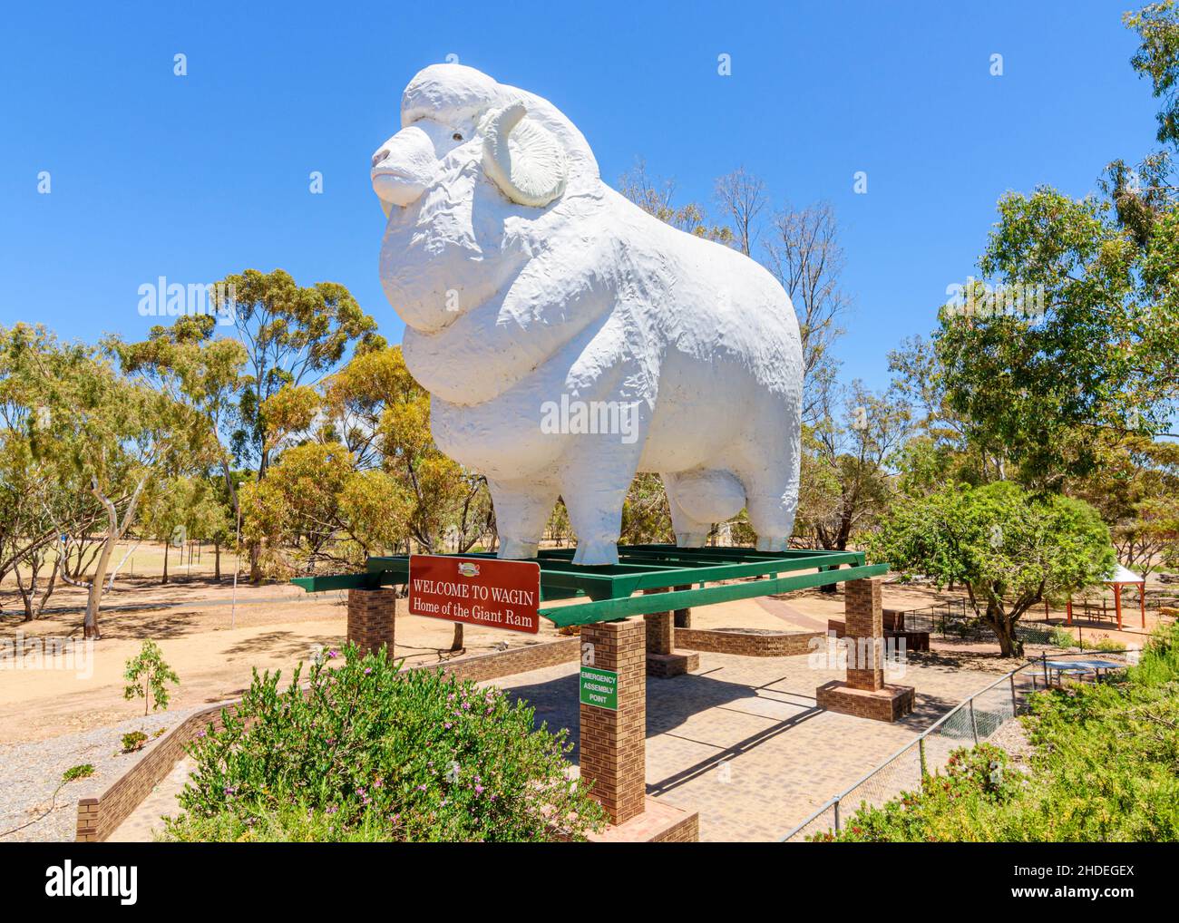 The Big RAM im Giant RAM Tourist Park in der ländlichen Stadt Wagin, Western Australia, Australien Stockfoto