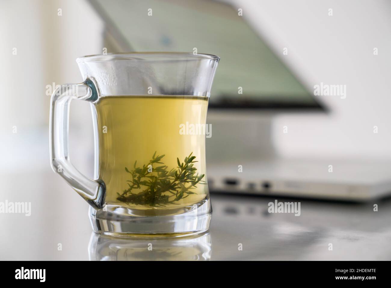 Transparente Glas-Tasse mit Kräutertee mit Grasblättern auf dem Hintergrund eines funktionierenden Computers. Konzept der Arbeit zu Hause und Ruhepause während der Arbeit. Stockfoto