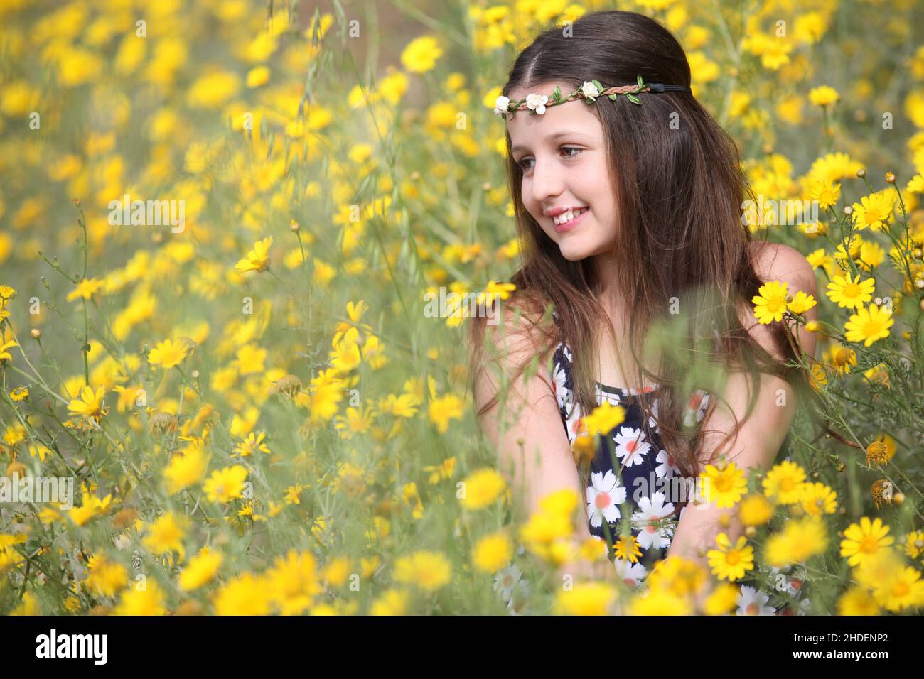 Junge 11 Jahre alte Mädchen in floralen Sommerkleid in einem Feld von gelben wilden Gänseblümchen Stockfoto