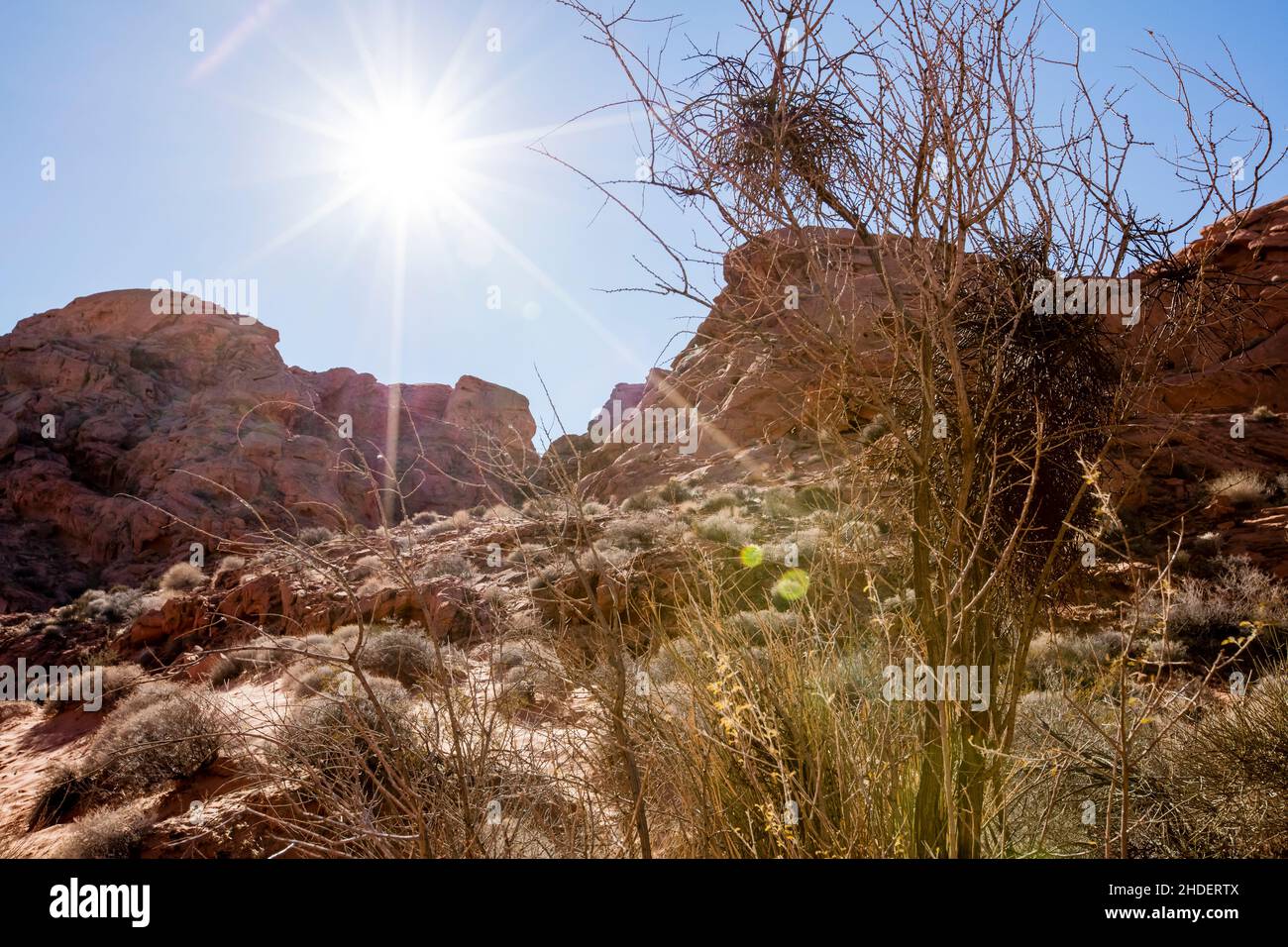 Valley of Fire State Park, Nevada Stockfoto