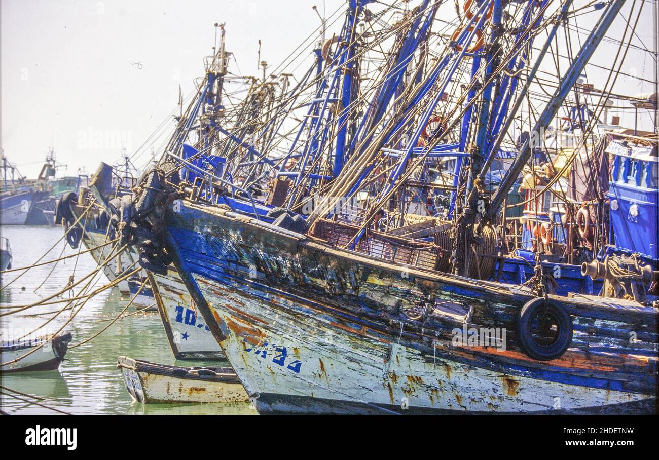 Fischerboote vor Anker im Hafen von Essaouira, Marokko, Foto: Bo Arrhed Stockfoto