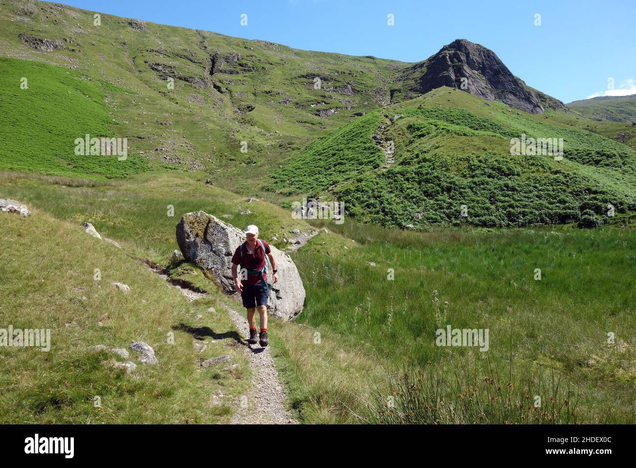 Lone man Walking on the Coast to Coast Path (C2C) by 'Lining Crag' near Greenup Gill in Borrowdale, Lake District National Park. England, Großbritannien. Stockfoto