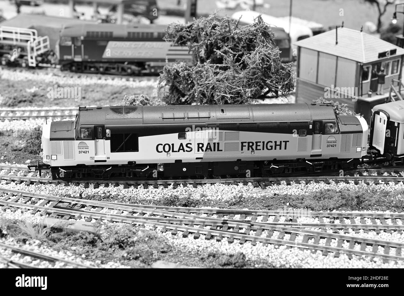 Ein Modell einer Diesellokomotive der Baureihe 37 vom Typ 4, die auf britischen Eisenbahnen eingesetzt wird. Stockfoto