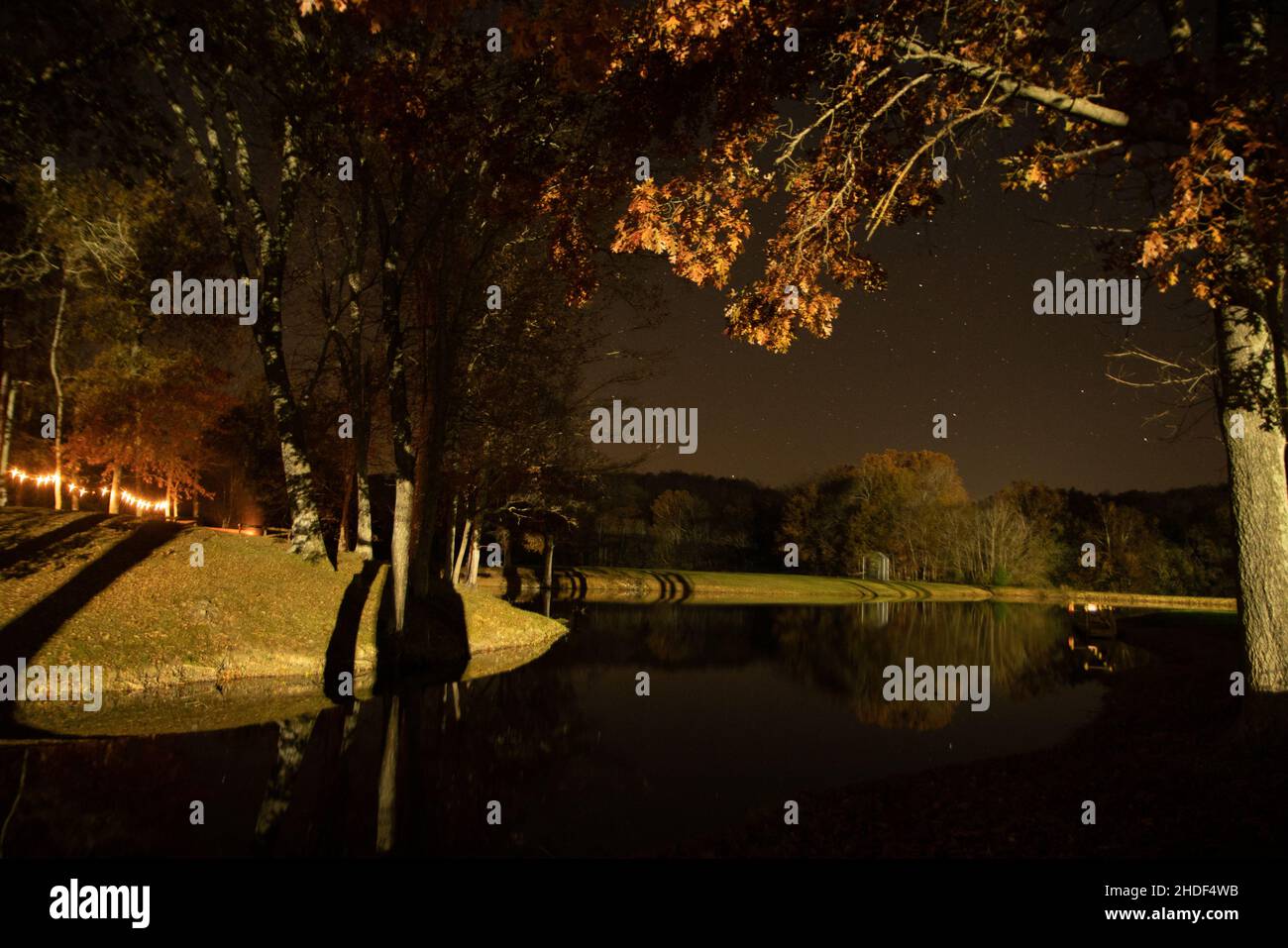 Schöne Nachtansicht eines Herbstbaums, der am Abend auf einem Teichfresser im Park reflektiert Stockfoto