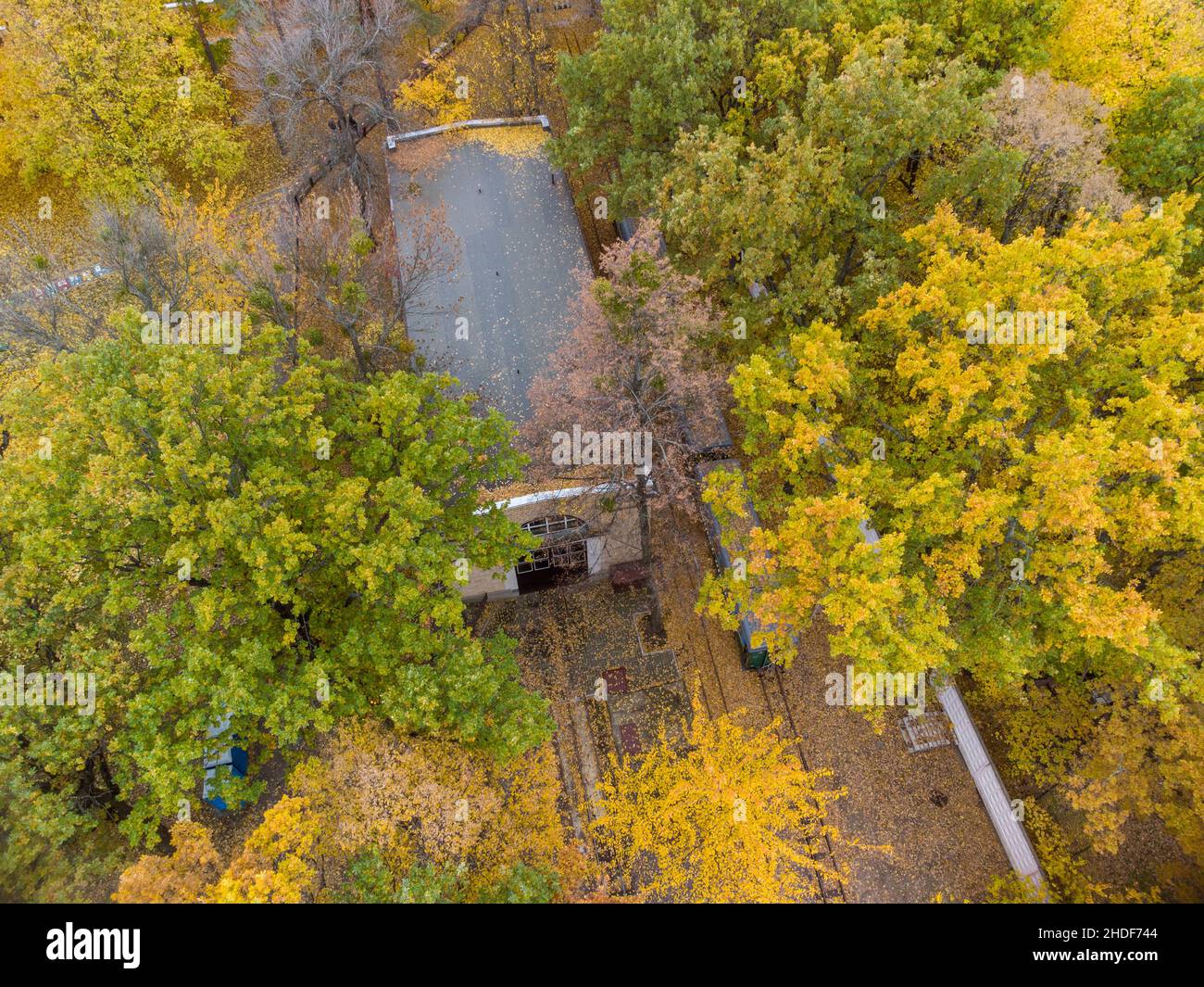 Gleis- und Zugschuppen in leuchtend gelben Herbstwäldern. Fliegen Sie über den südlichen Bahnhof von Children's. Luftaufnahme von den Baumkronen auf dem bunten Charkiw, Trave Stockfoto