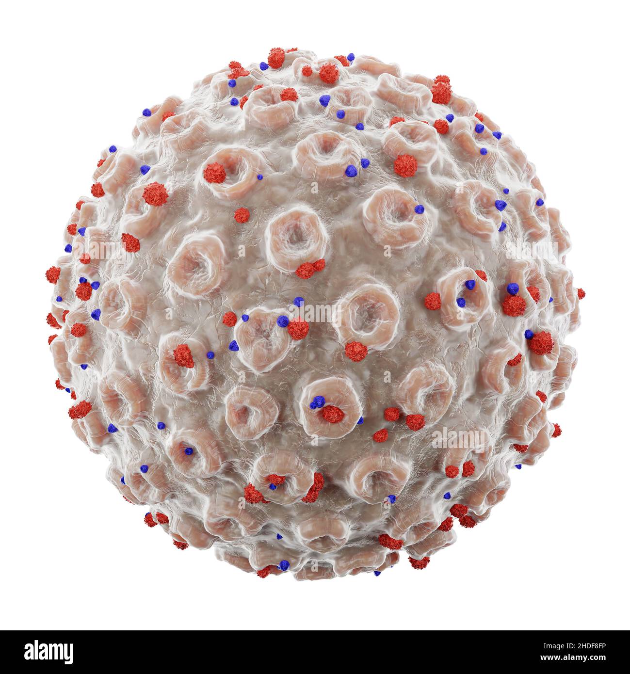 COVID-19 Corona-Virus mit Stachelglykoprotein . Feine detaillierte rissige Textur . Weiße Farbe isoliert Hintergrund . 3D Rendern . Eingebettete Beschneidungspfade Stockfoto