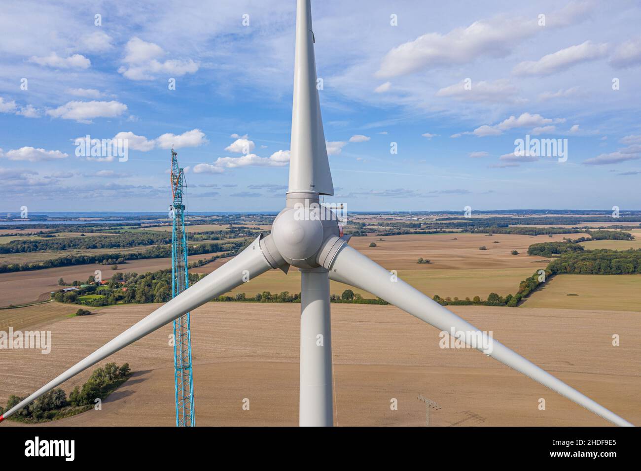 HOHOVYVY Windturbinen Rotorblätter 550mm - Ersatzflügel Aus GFK Für Kleine Windgeneratoren