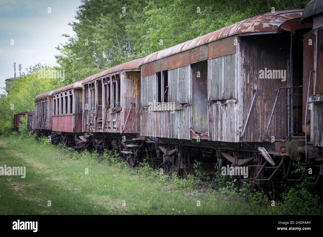 Alte und verlassene Eisenbahnwaggons in einem Wald an einem verlassenen Bahnhof Stockfoto