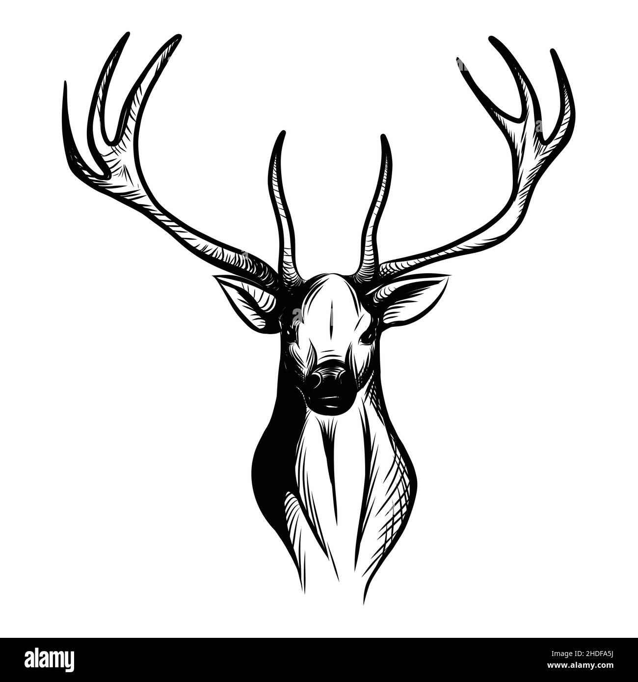 Hirsch, Hirsch Kopf, Hirsch, Reh, Hirsch, Hirschköpfe Stockfoto