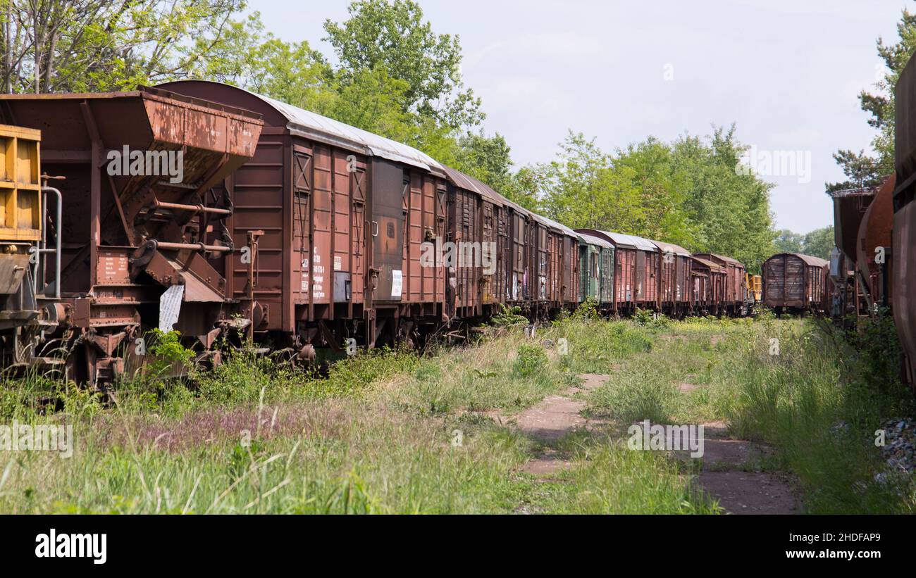 Alte und verlassene Eisenbahnwaggons in einem Wald an einem verlassenen Bahnhof Stockfoto
