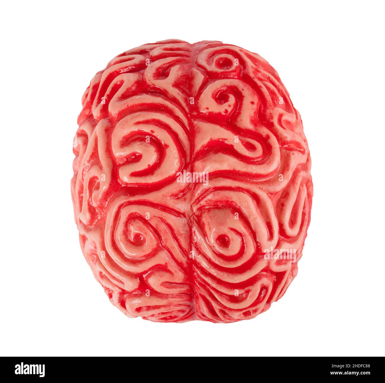 Künstliches Modell, Gehirn, künstliche Modelle, Gehirn Stockfoto