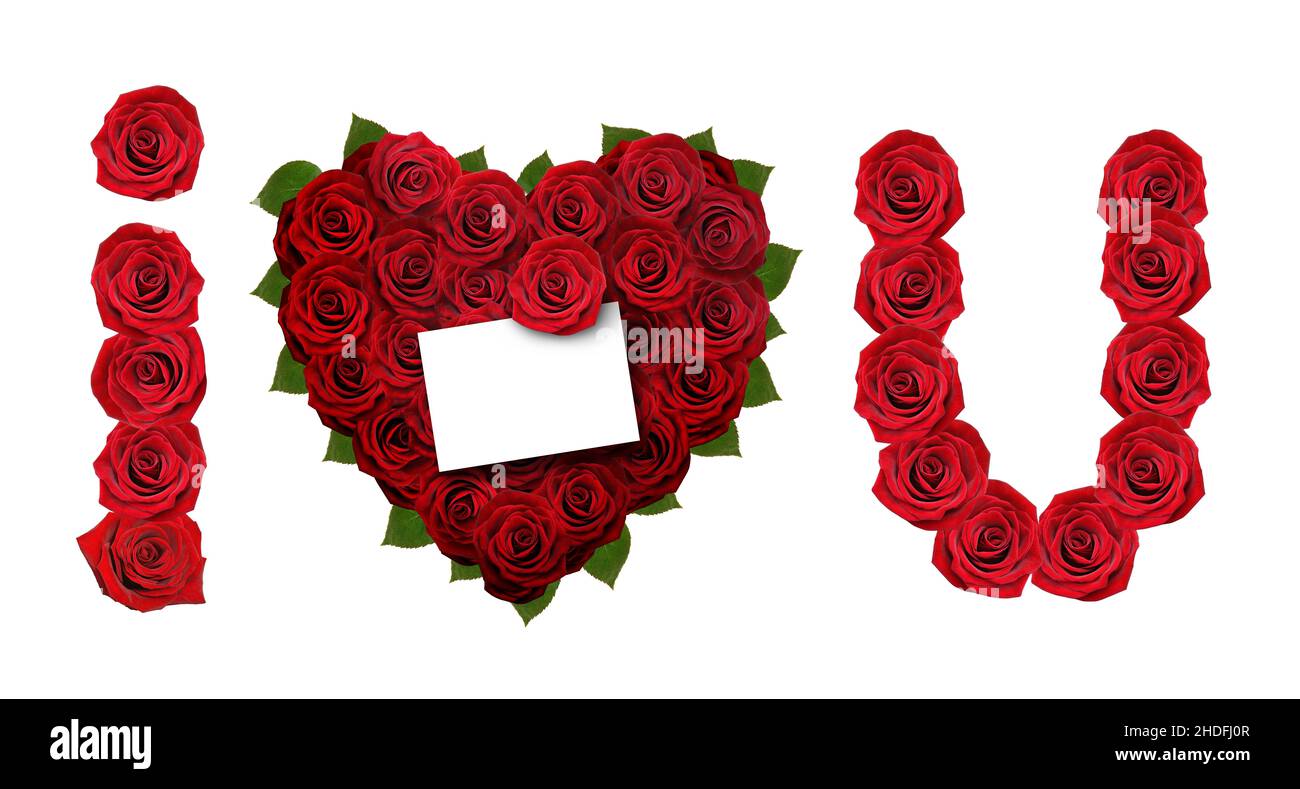 Romantisch, rote Rose, ich liebe dich, Romantiker, rote Rosen, ich liebe dich Stockfoto