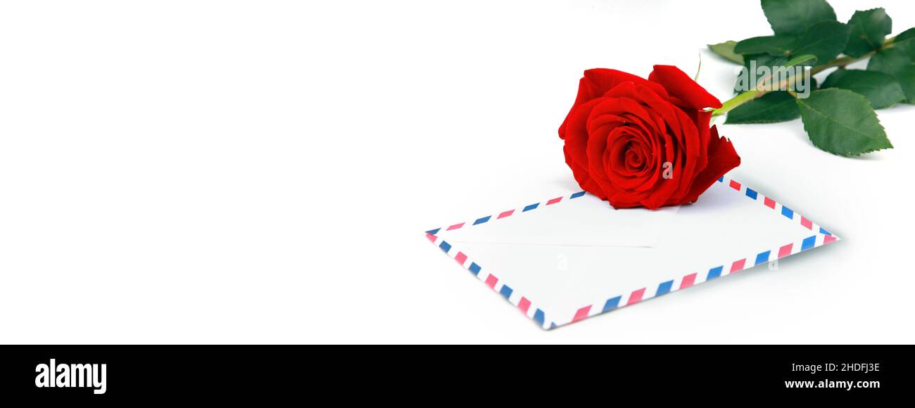 Rose, valentine, Mail, Rosen, valentinstag, valentinstag, Valentinstag, Mails Stockfoto