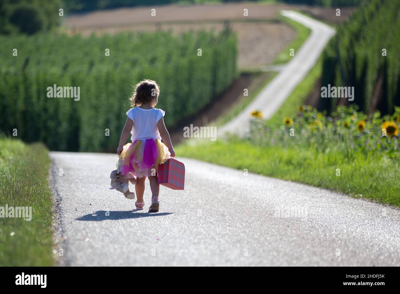 Mädchen, suitcase, Straße, Mädchen, Koffer, Straßen, Straßen, Straßen Stockfoto