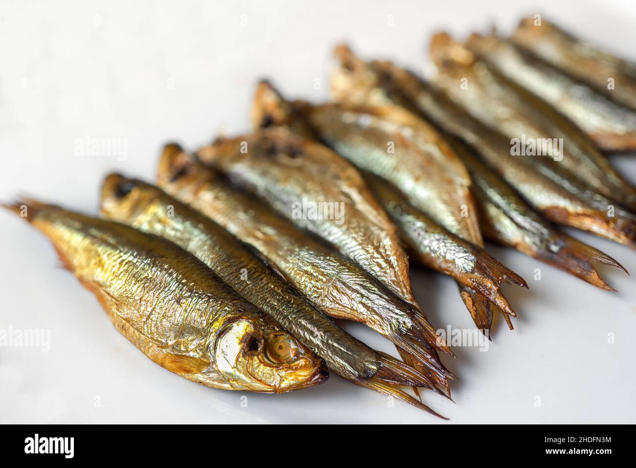 Sprotte, rigaer Sprossen, Sprossen Stockfoto