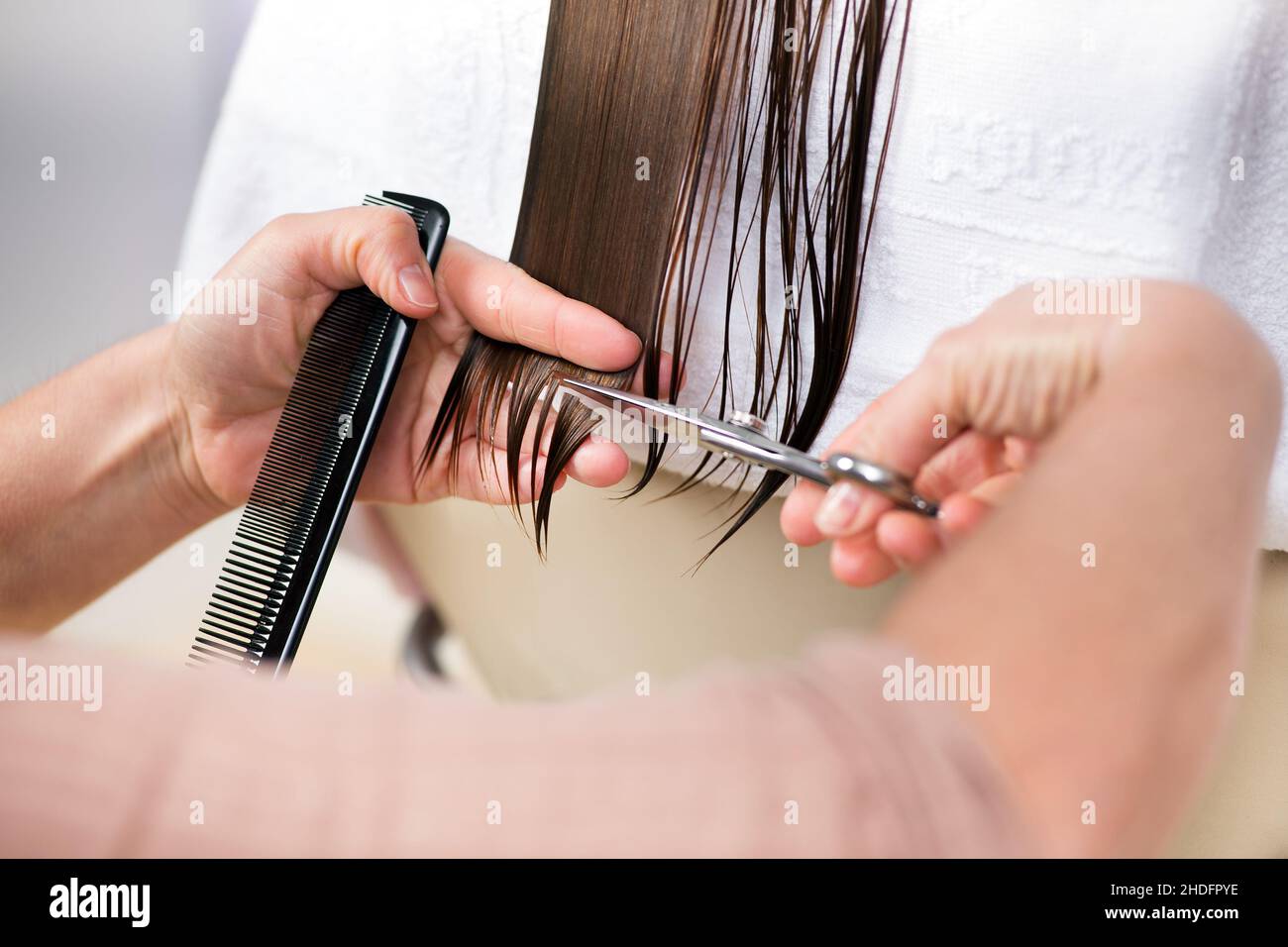 Friseur, Schneiden, Haarspitzen, Friseure Stockfoto