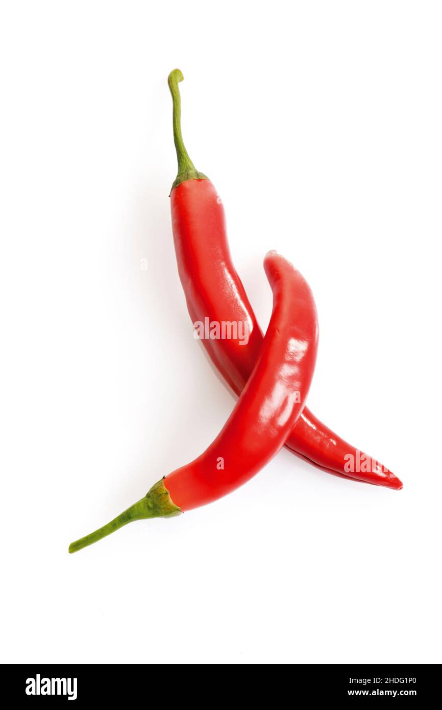 Pepperoni, Chilischote, roter Pfeffer, Pepperonis, Chilischoten Stockfoto
