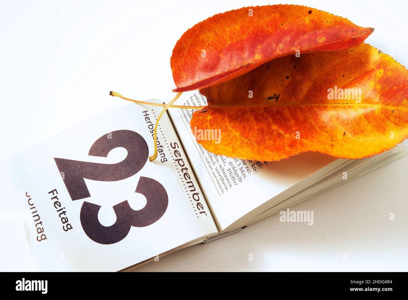 Kalenderblatt, Herbstanfang, Kalender Stockfoto